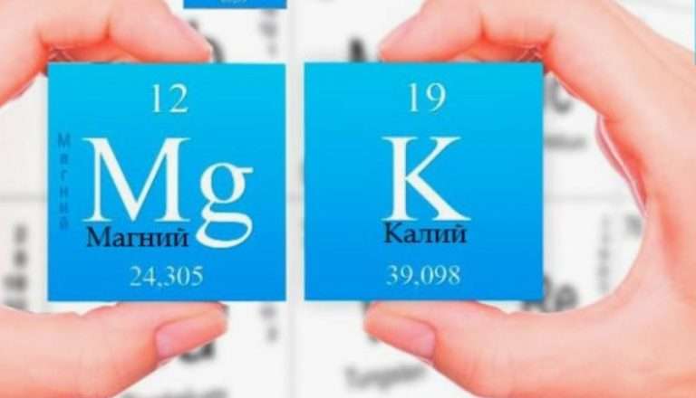 Калий и магний в кормах для птицы 2025: привес +15%, экономия 400 000 ₽