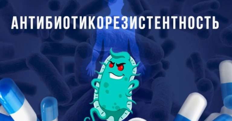 Антибиотикорезистентность в бройлерах: решения 2025 года