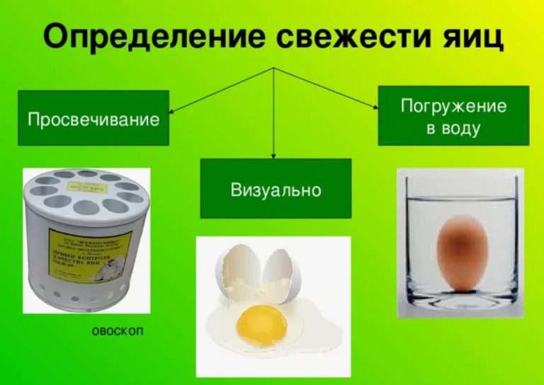 ИИ и генетика для кур: +30% продуктивности