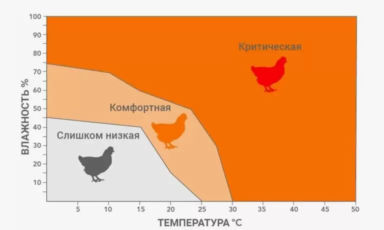 Кормовые добавки для кур от жары: +25% дохода